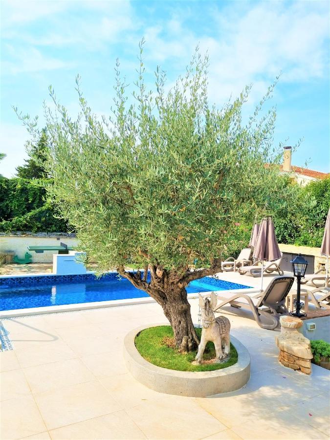 Apartment Villa Engel With Pool Пореч Экстерьер фото